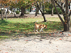08oita15_thumb.png