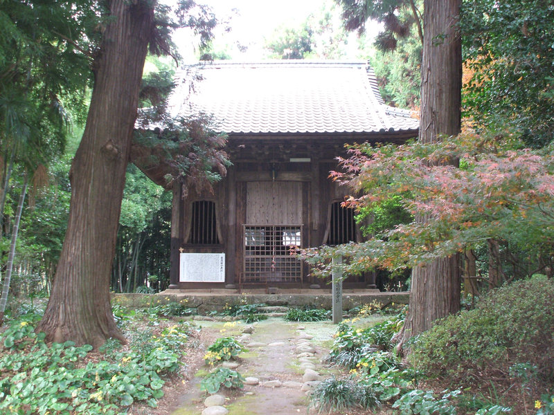 08oita35.jpg
