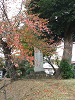 08oita42_thumb.png