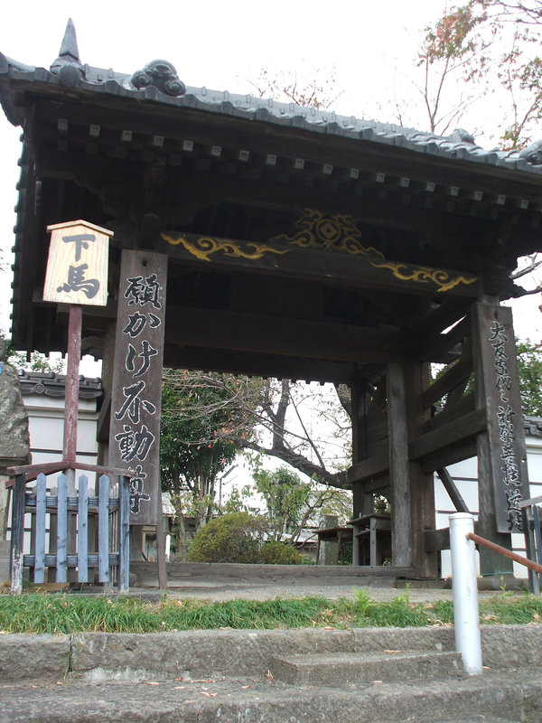 08oita43.jpg