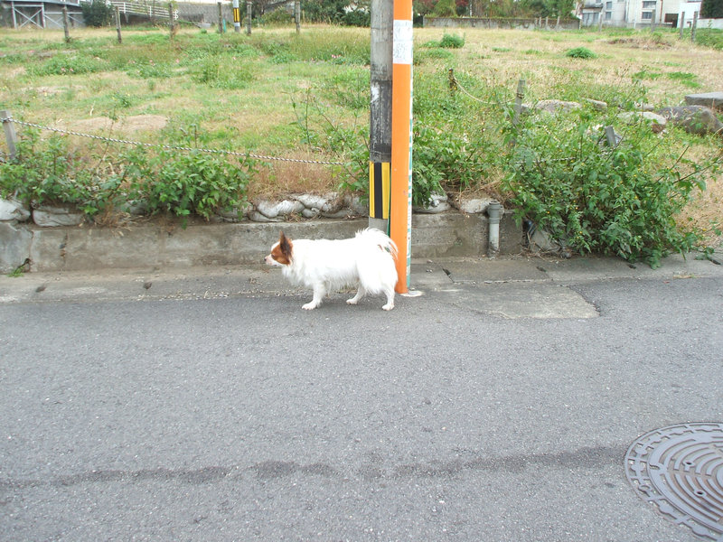 08oita55.jpg